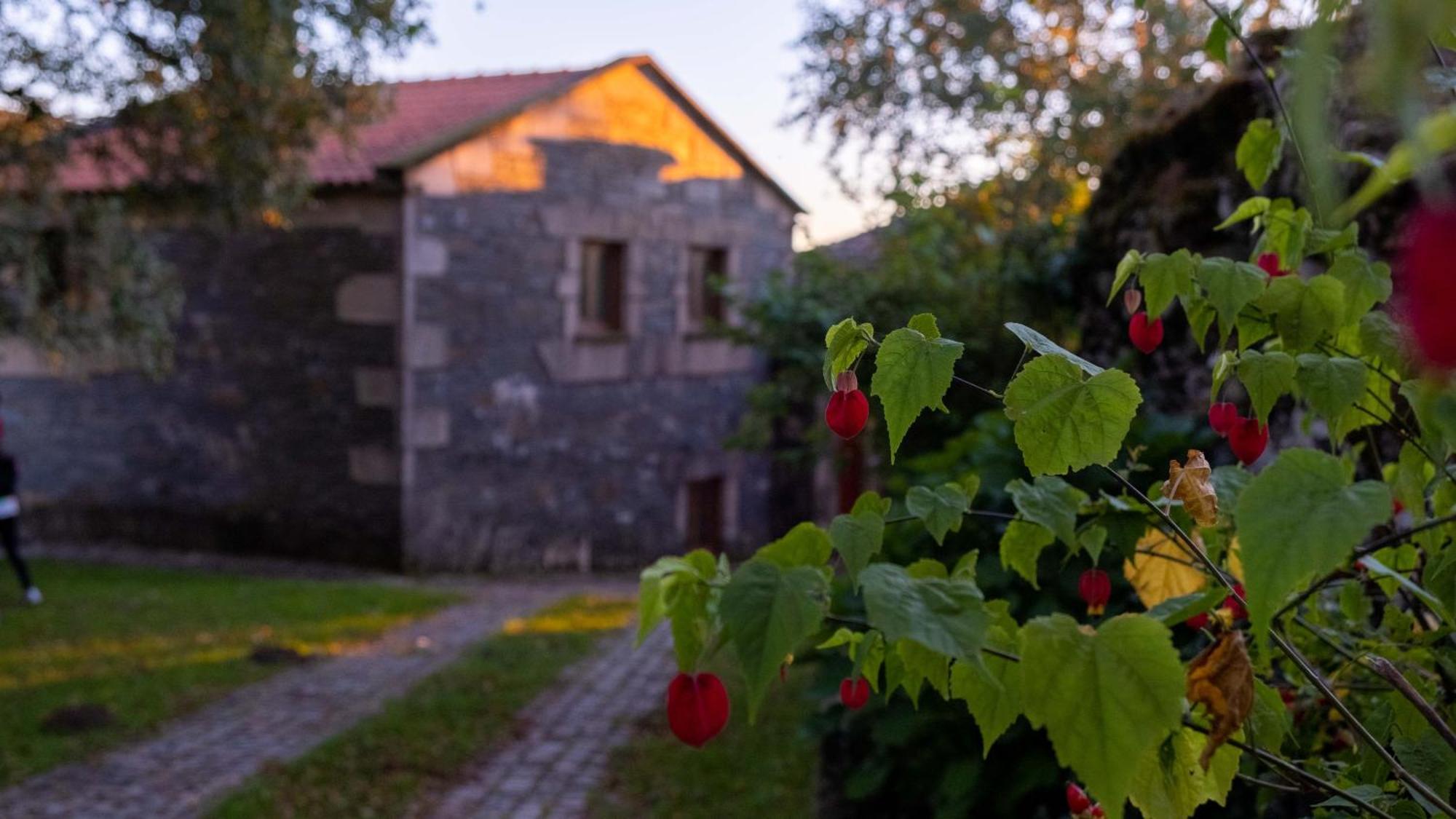 Casa Dos Do Carvalho - Miradouro Da Branda Vila Branda de Santo António Exterior foto